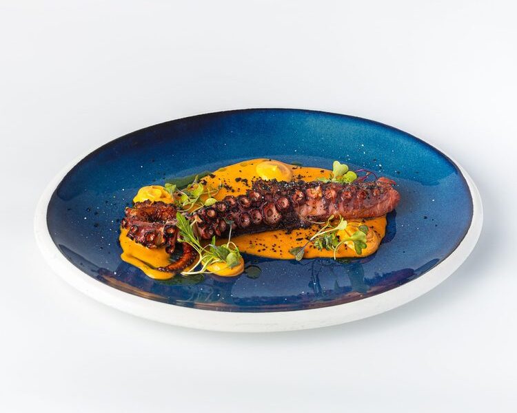 Grilled octopus tentacle